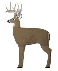 Block Glendel 3D Buck Glendel Buck