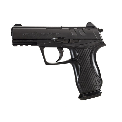 Gamo C-15 Bone Collector Blowback Pellet Steel BB Pistol