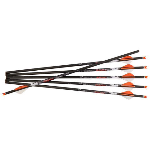 Ravin 500gr .001 Arrow 6pk